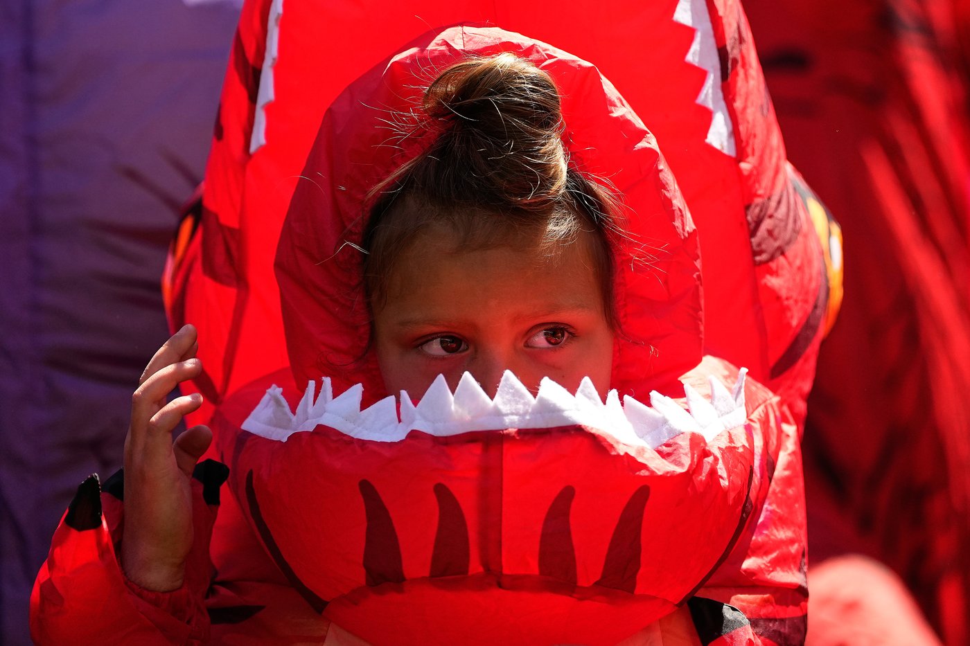 Inflatable dinosaurs race at Emerald Downs, in photos | iNFOnews.ca