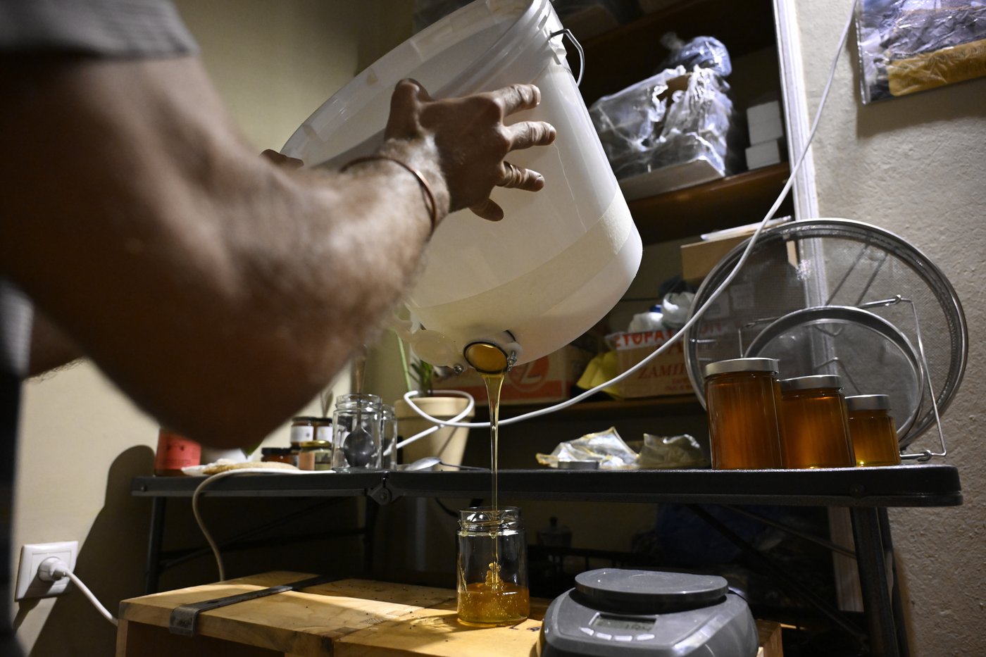 From rooftops to honey jars, Athens is abuzz with urban beekeeping | iNFOnews.ca From rooftops to honey jars, Athens is abuzz with urban beekeeping | iNFOnews.ca