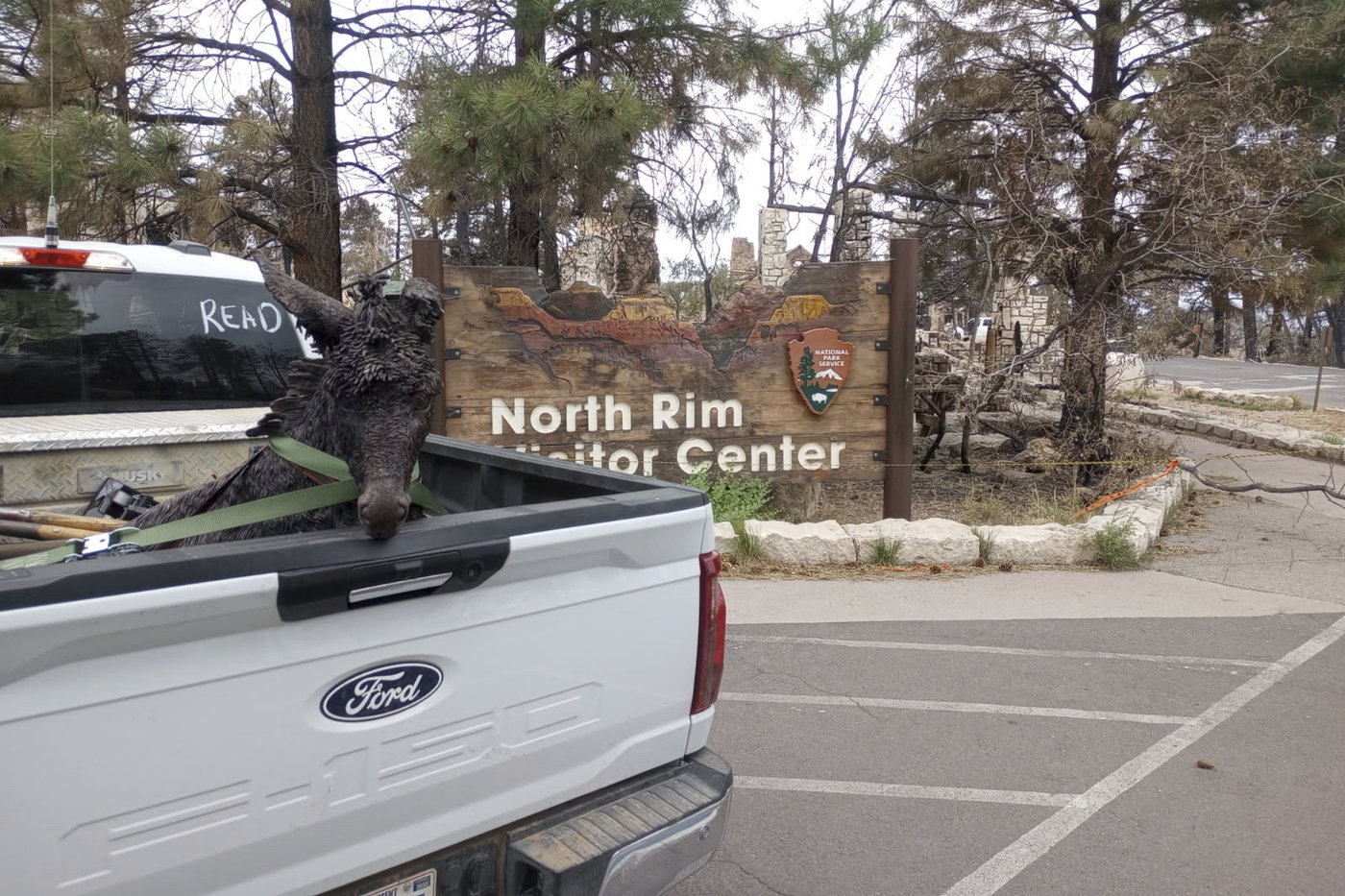 A Grand Canyon mascot is recovered from the rubble. Can Brighty the Burro be restored? | iNFOnews.ca