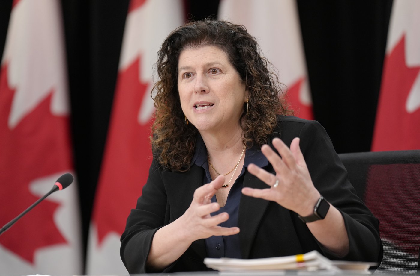 Auditor general reports on avian flu vaccines, First Nations funding | iNFOnews.ca