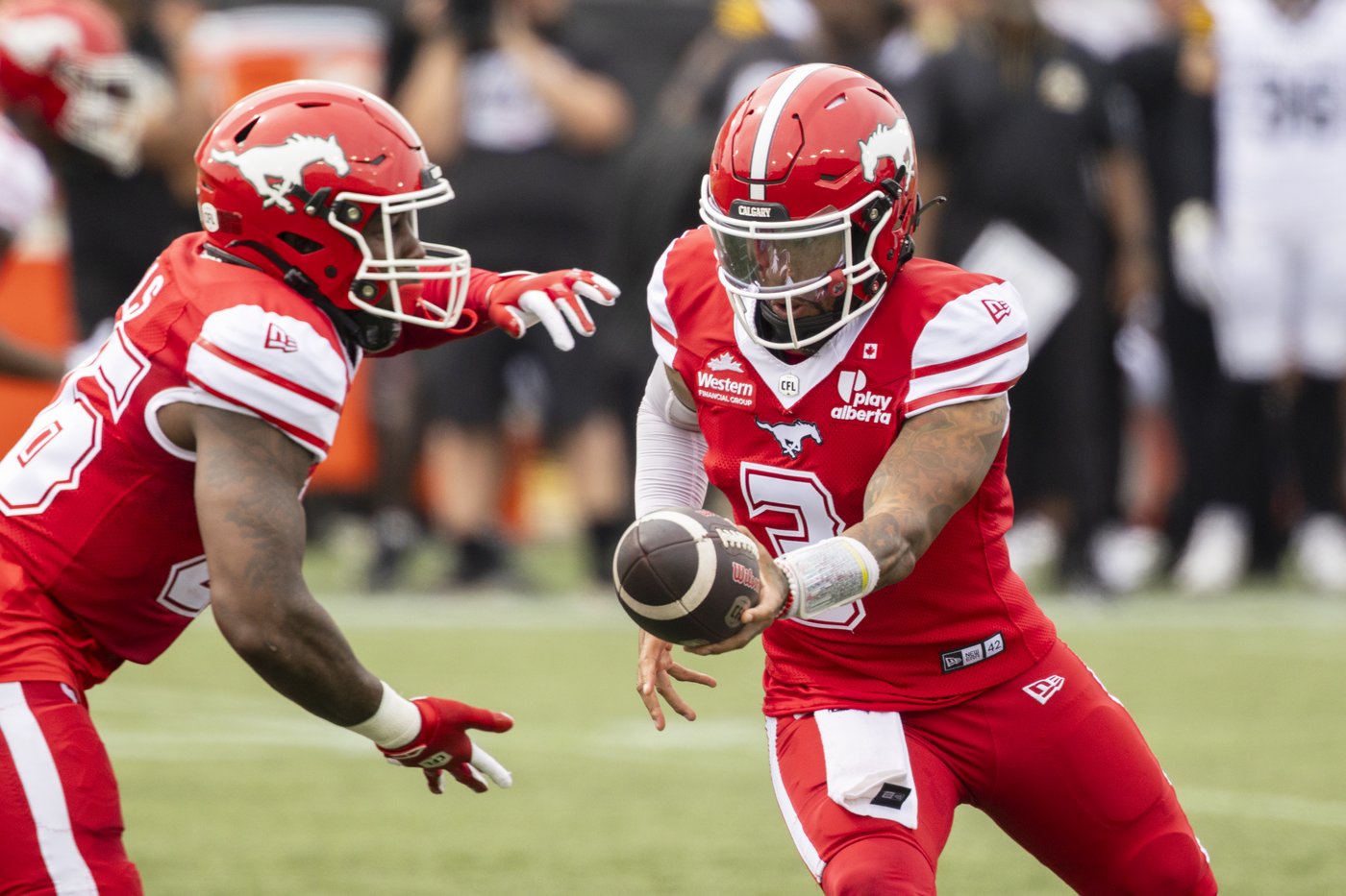 Adams Jr. throws CFL-best 21st TD pass as Stampeders defeat Ticats 44-20 | iNFOnews.ca