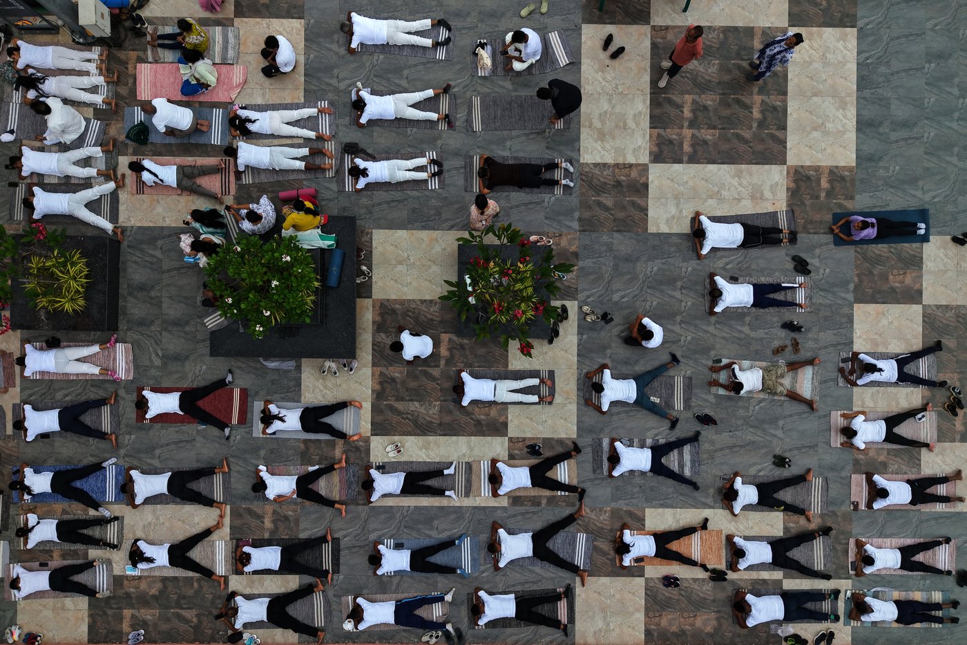 Photo highlights from the International Yoga Day | iNFOnews.ca