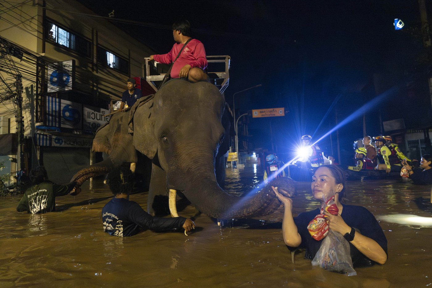 Central Thailand braces for inundation as rain stops in flooded Chiang Mai | iNFOnews.ca