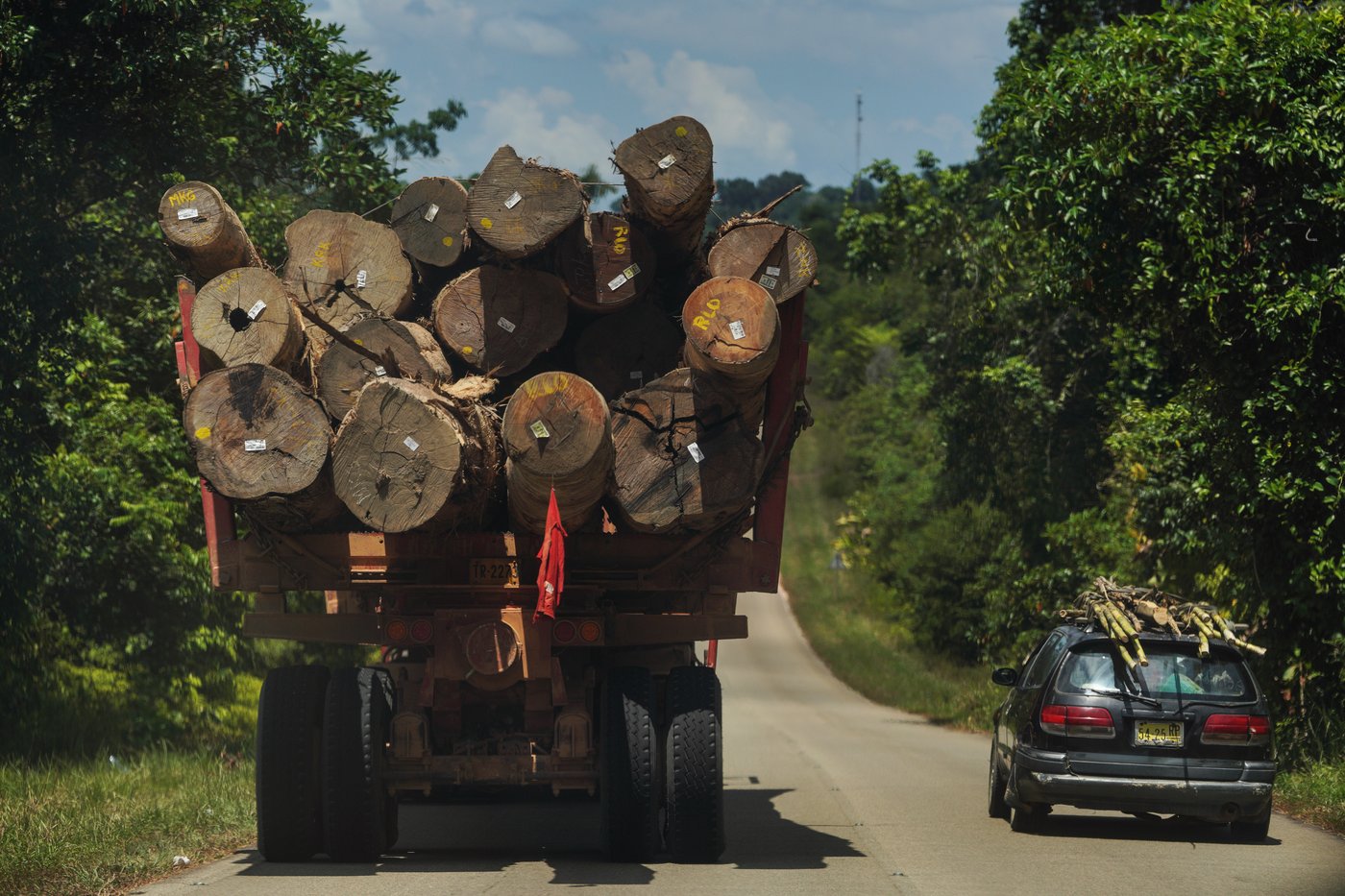 Suriname’s Saamaka tribe turns to mapping and documenting in effort to protect the Amazon rainforest | iNFOnews.ca Suriname’s Saamaka tribe turns to mapping and documenting in effort to protect the Amazon rainforest | iNFOnews.ca