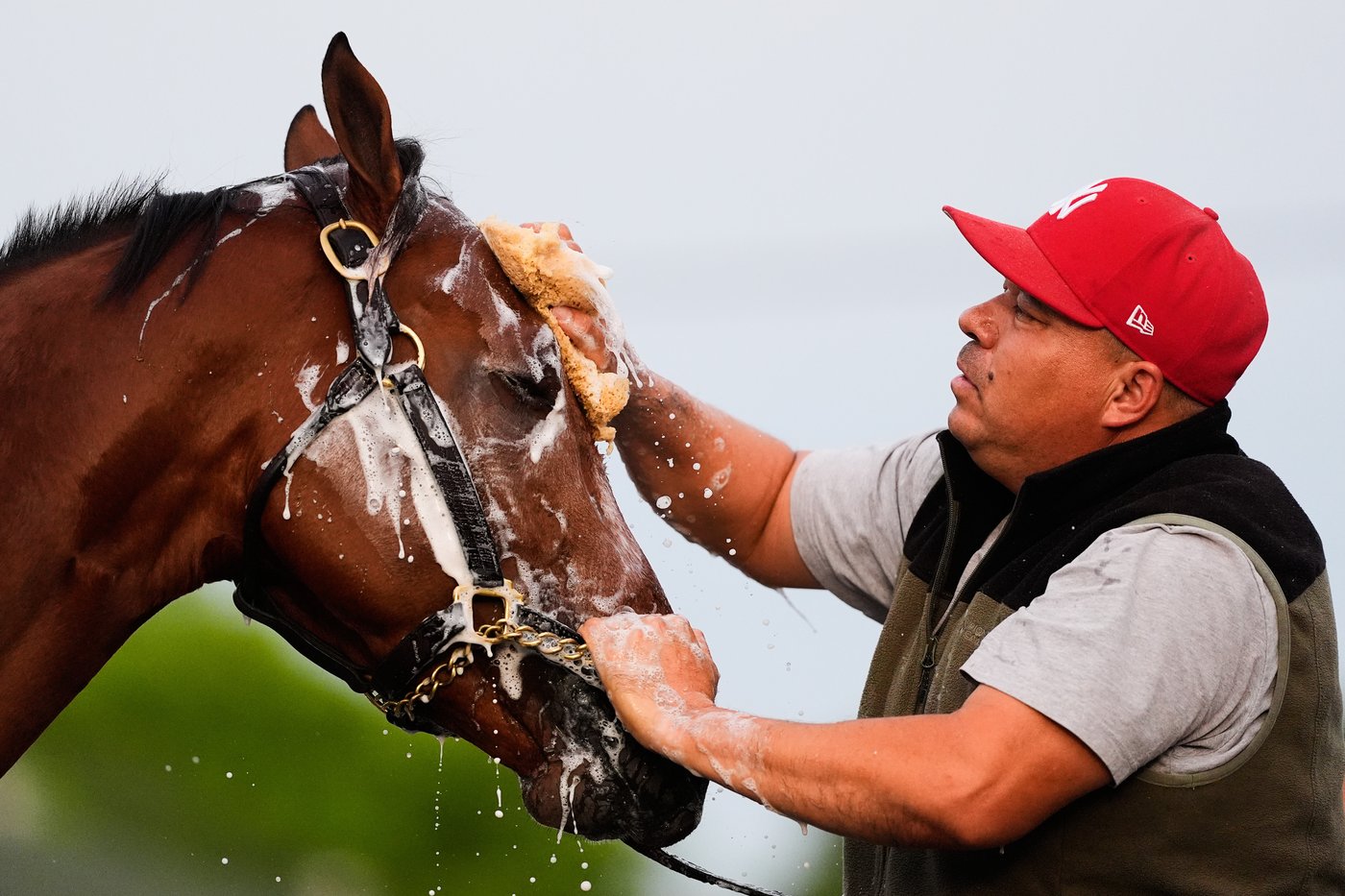 Photos show pre-race workouts ahead of the Kentucky Derby | iNFOnews.ca