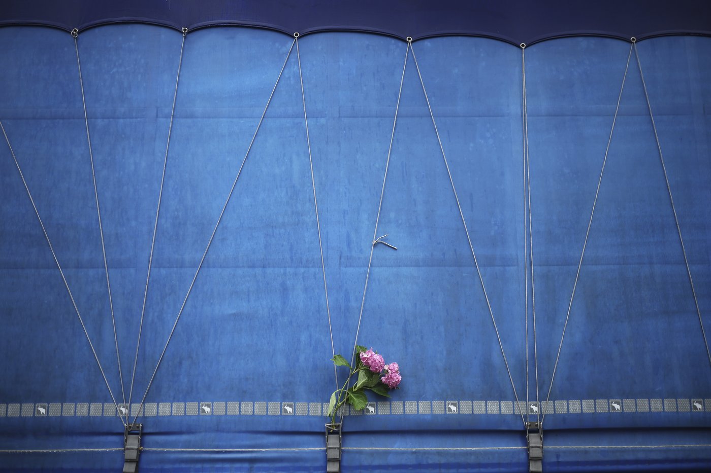 7 newly identified Srebrenica victims will be buried on the Bosnian massacre anniversary | iNFOnews.ca