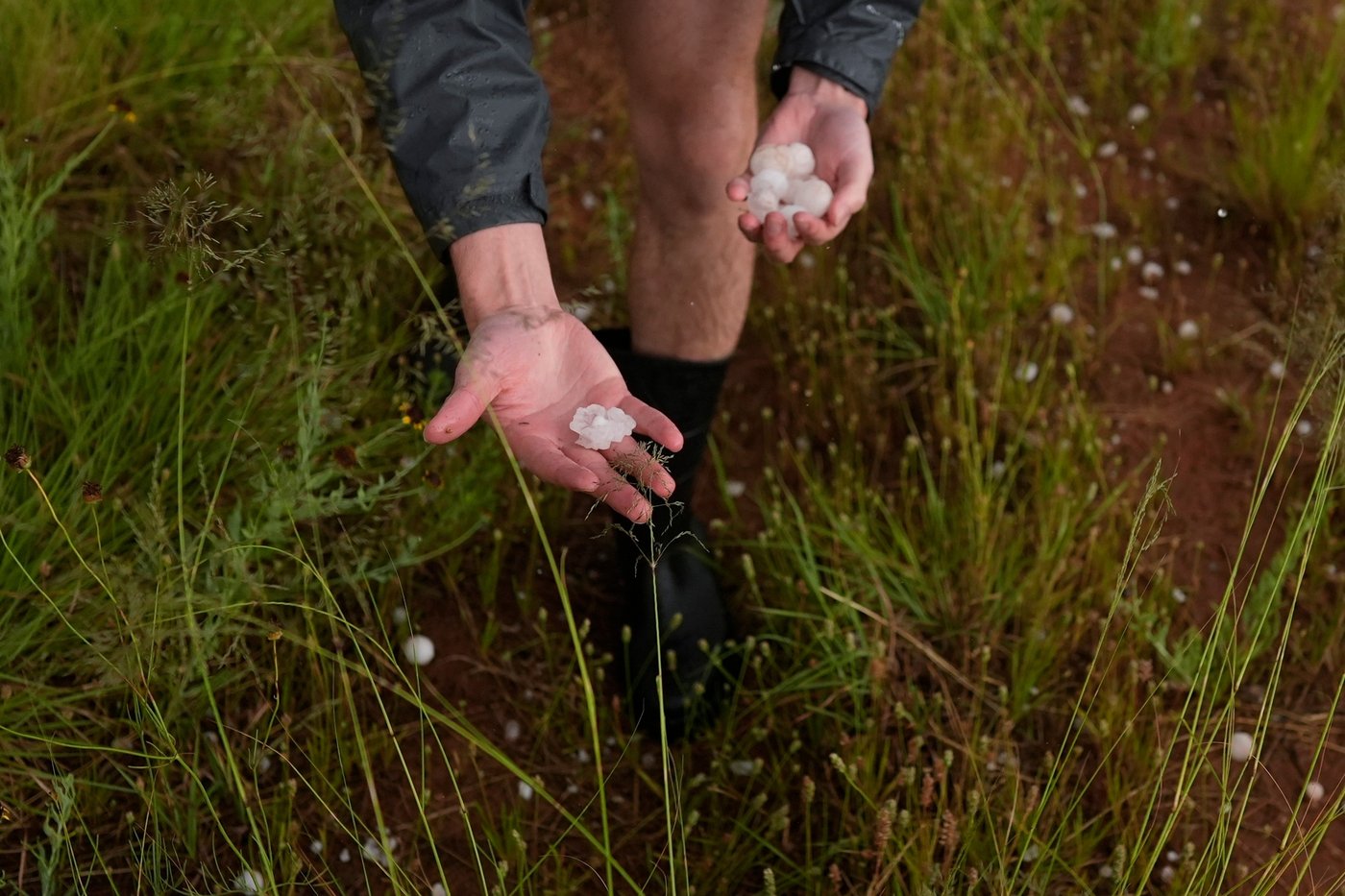 A warmer world creates bigger and more damaging hailstones, study says | iNFOnews.ca A warmer world creates bigger and more damaging hailstones, study says | iNFOnews.ca