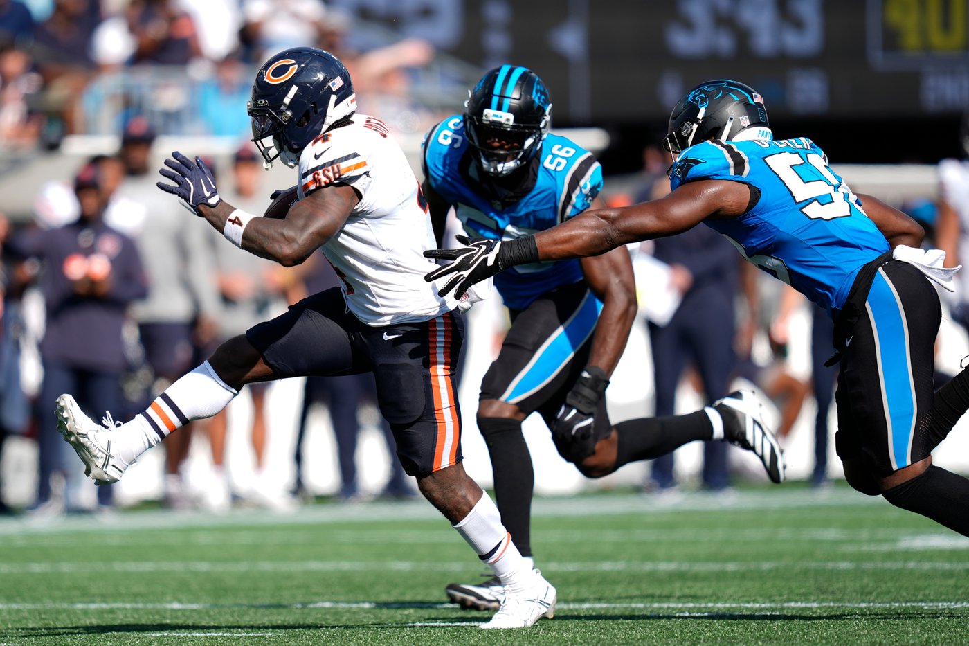 Panthers looking for answers after allowing franchise-record 59 points to the Bears | iNFOnews.ca Panthers looking for answers after allowing franchise-record 59 points to the Bears | iNFOnews.ca