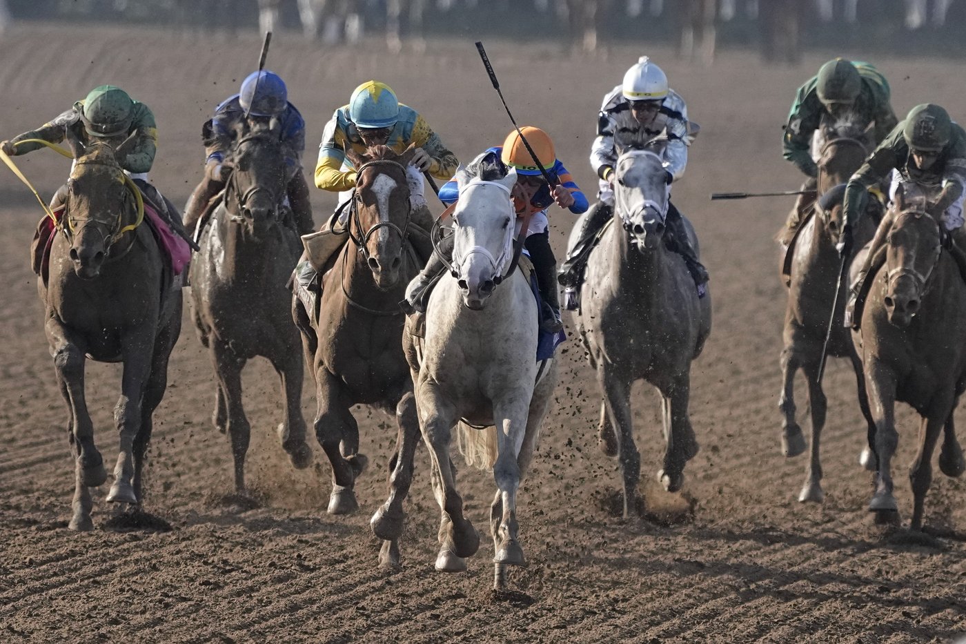 A record 80 foreign horses are pre-entered for Breeders' Cup world championships at Del Mar | iNFOnews.ca A record 80 foreign horses are pre-entered for Breeders' Cup world championships at Del Mar | iNFOnews.ca