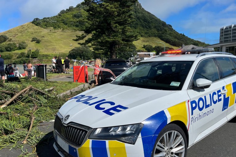 Rescue efforts underway after landslides hit New Zealand campground and house | iNFOnews.ca