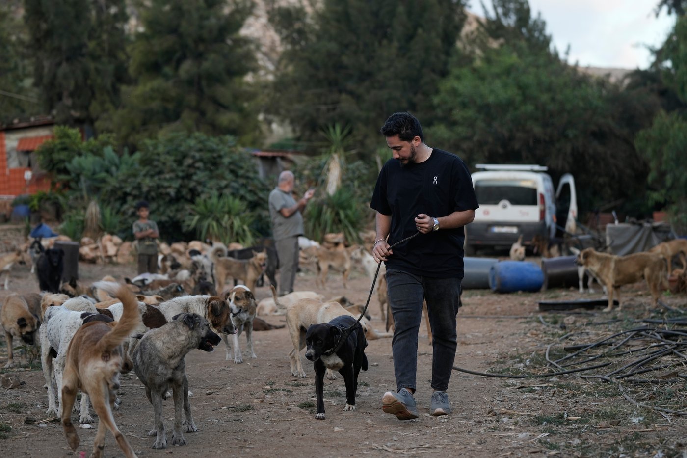 Photos of pets and farm animals rescued from the war in southern Lebanon | iNFOnews.ca