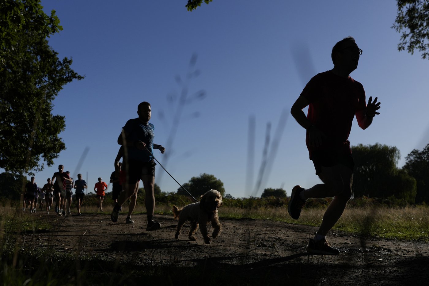 Parkrun celebrates 20th anniversary as weekly race grows from 13 runners to millions in 23 countries | iNFOnews.ca Parkrun celebrates 20th anniversary as weekly race grows from 13 runners to millions in 23 countries | iNFOnews.ca