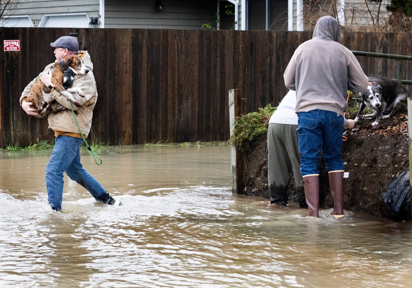 Damage from record flooding in Washington state is profound, with more on the way, governor says | iNFOnews.ca Damage from record flooding in Washington state is profound, with more on the way, governor says | iNFOnews.ca