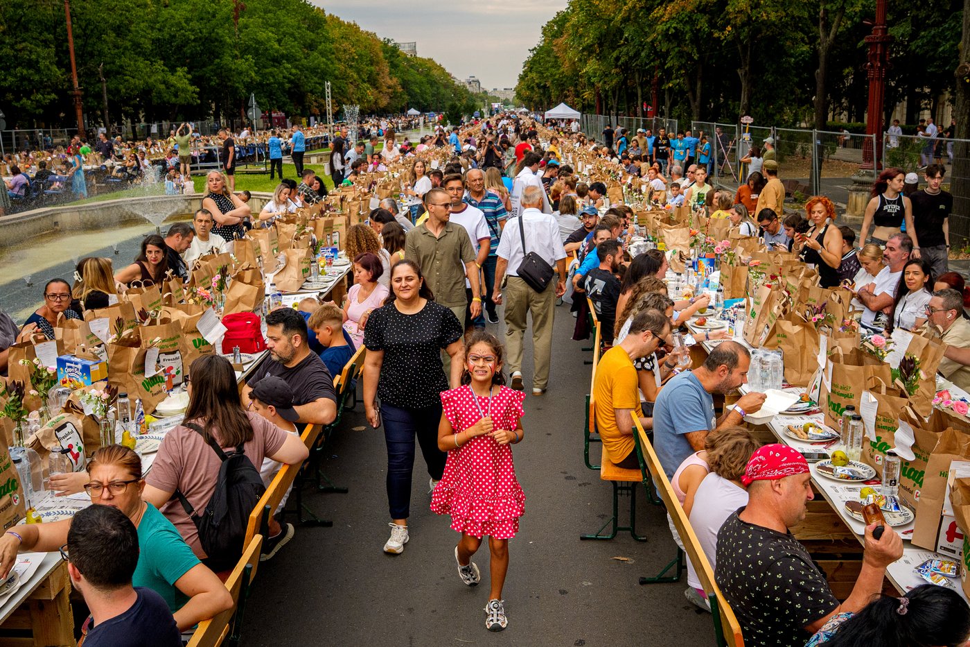 Romania sets Guinness record with miles-long table, raises funds for pediatric psychiatry hospital | iNFOnews.ca Romania sets Guinness record with miles-long table, raises funds for pediatric psychiatry hospital | iNFOnews.ca