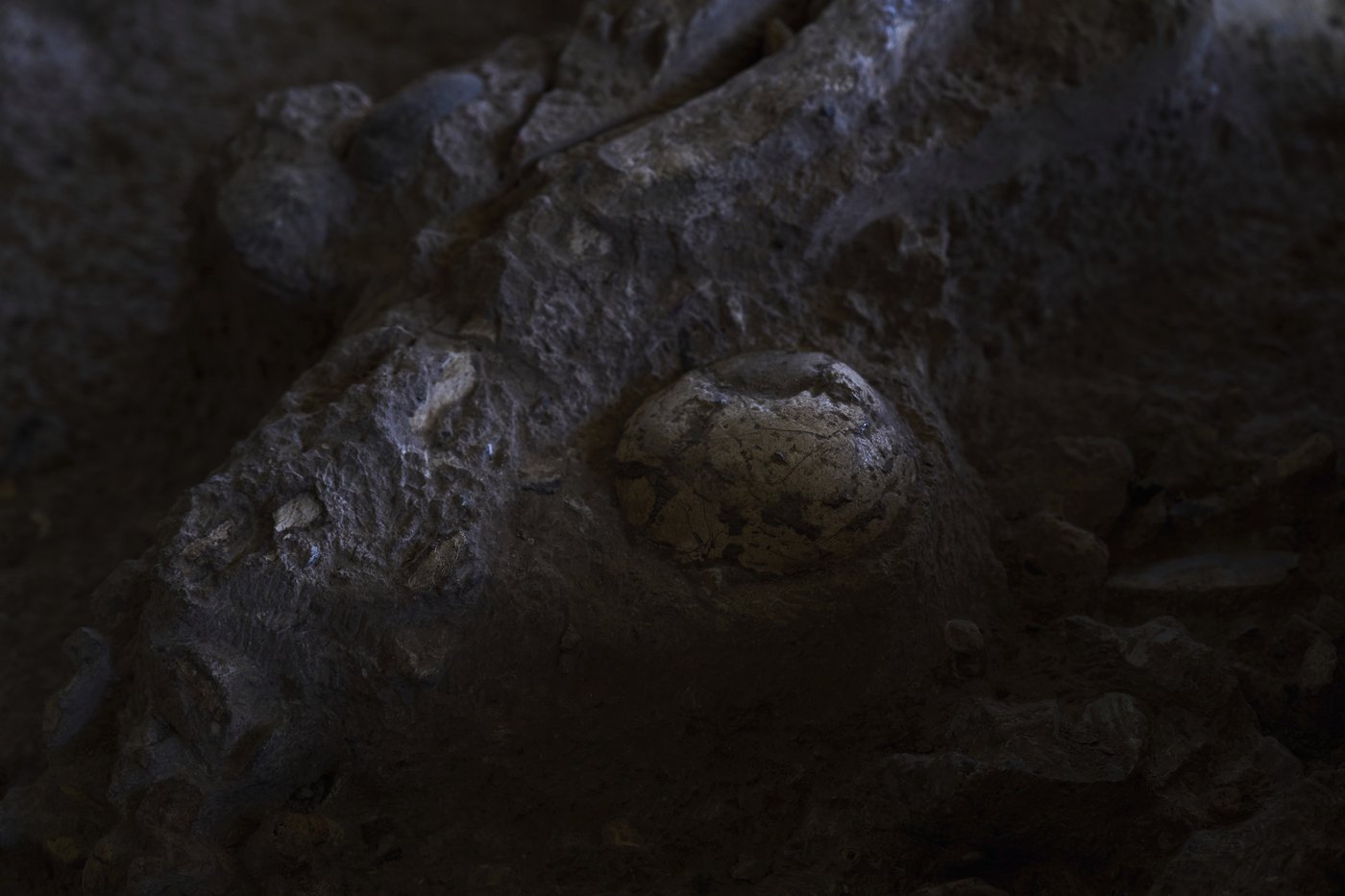 A 100,000-year-old burial site in Israel is changing what we know about early humans | iNFOnews.ca A 100,000-year-old burial site in Israel is changing what we know about early humans | iNFOnews.ca