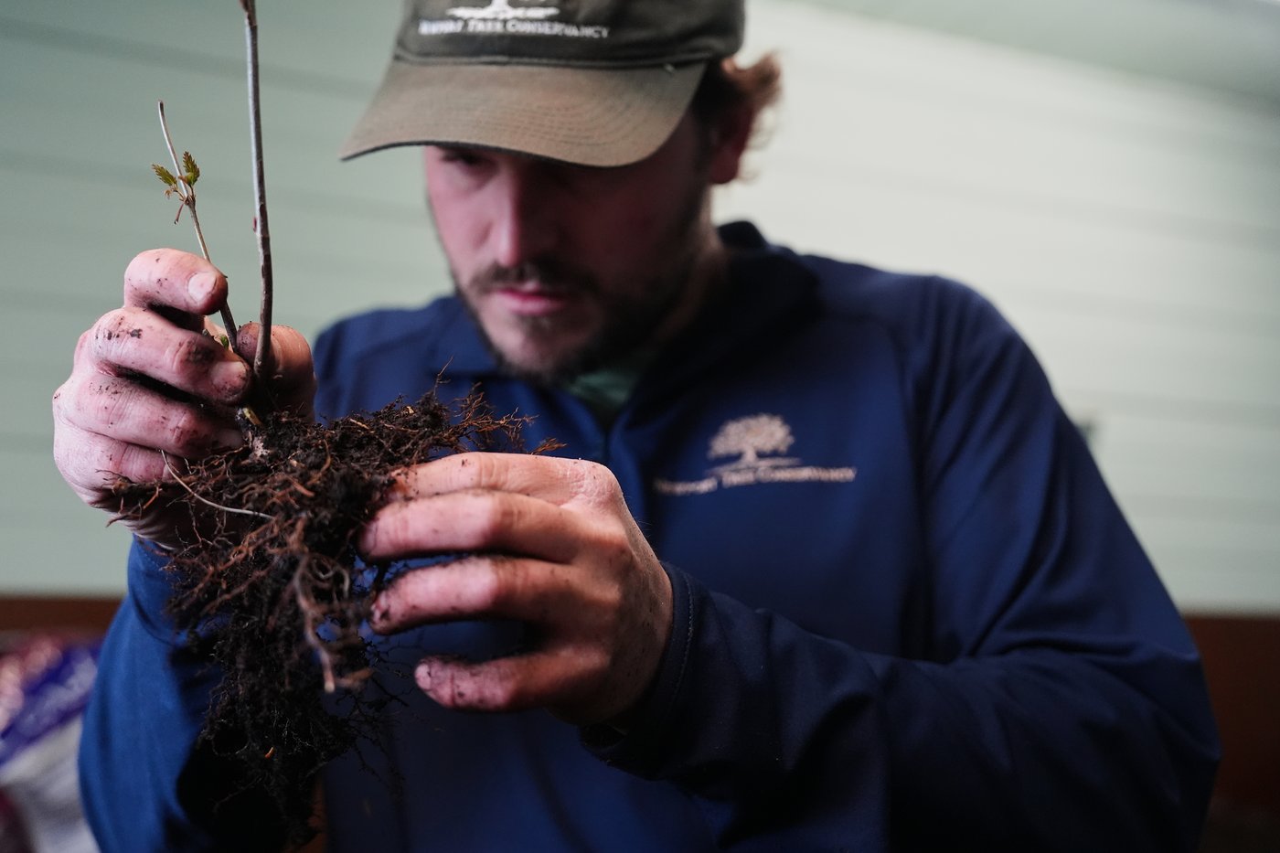 Trees are magic. In Newport, volunteers are working to expand their healthy reach | iNFOnews.ca