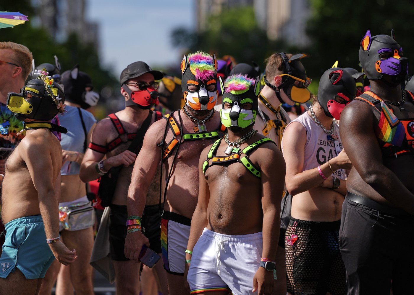 PHOTO COLLECTION:World Pride Parades | iNFOnews.ca PHOTO COLLECTION:World Pride Parades | iNFOnews.ca