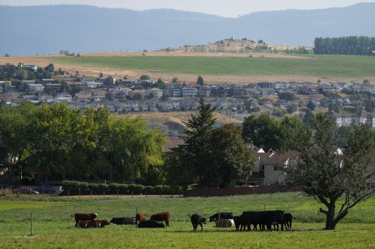 Communities report high demand for pilot offering permanent residency for rural jobs | iNFOnews.ca