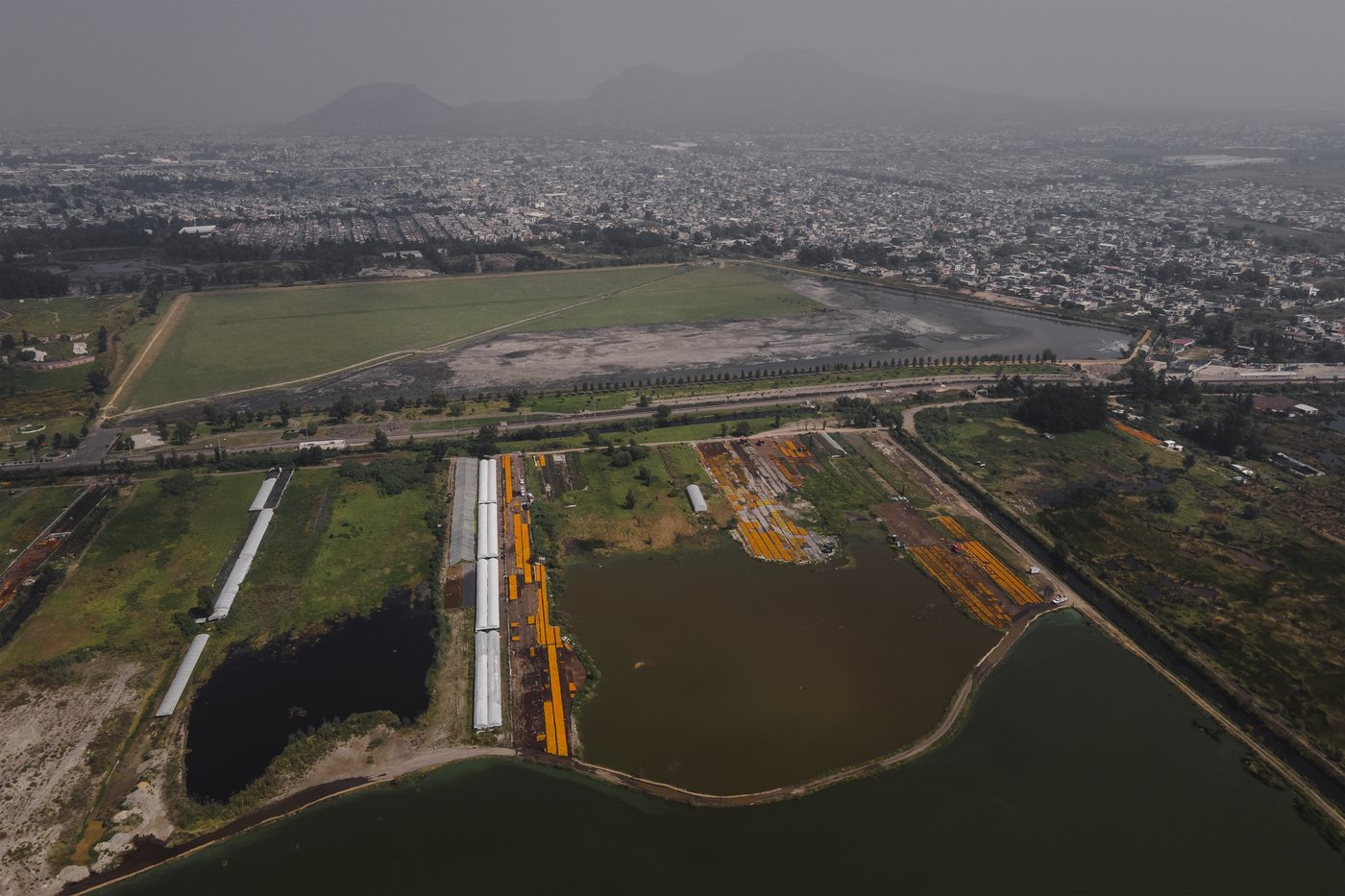 Mexico City’s floating gardens have fed people for hundreds of years. Now they’re threatened | iNFOnews.ca