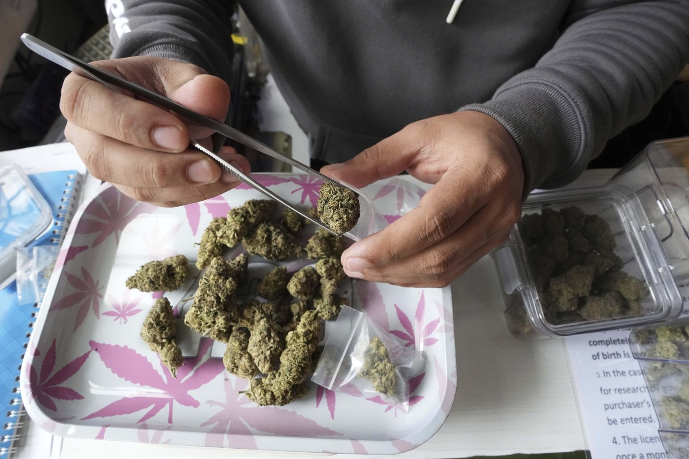 A look at where Thailand's cannabis laws stand | iNFOnews.ca A look at where Thailand's cannabis laws stand | iNFOnews.ca
