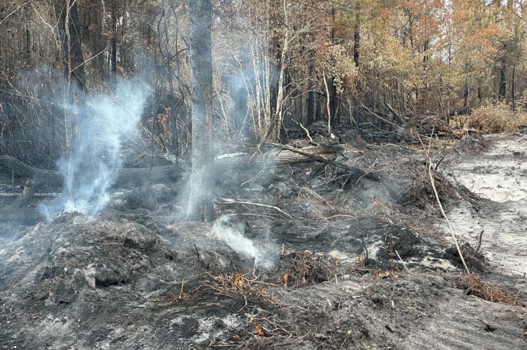 Georgia officials warn wildfires are still a threat as firefighters report progress | iNFOnews.ca