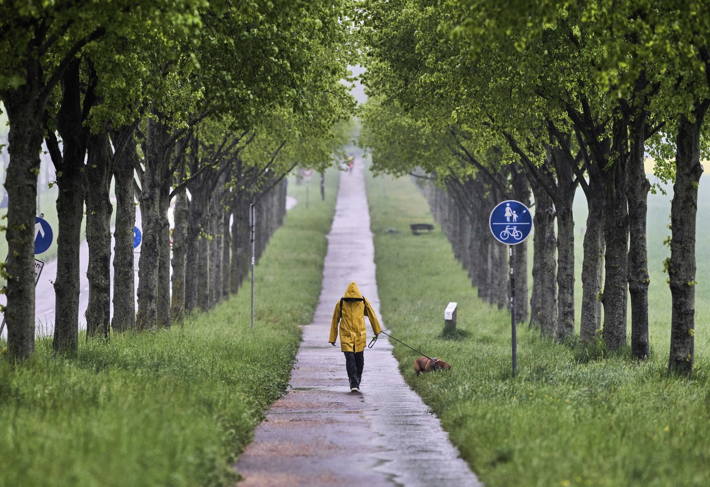 PHOTO COLLECTION: Spring Weather | iNFOnews.ca