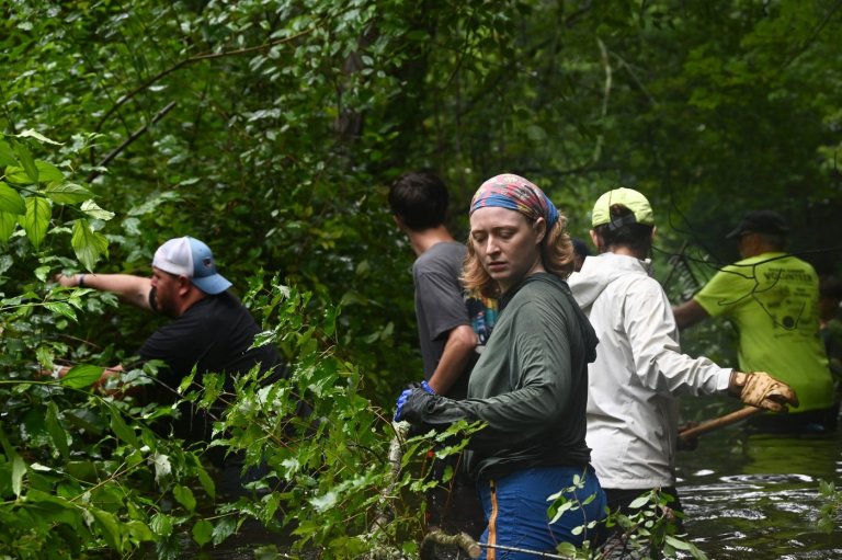 To bring back historic herring populations, volunteers get down and dirty | iNFOnews.ca