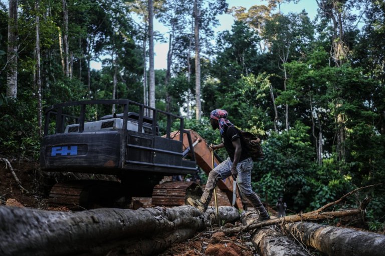 Suriname’s Saamaka tribe turns to mapping and documenting in effort to protect the Amazon rainforest | iNFOnews.ca