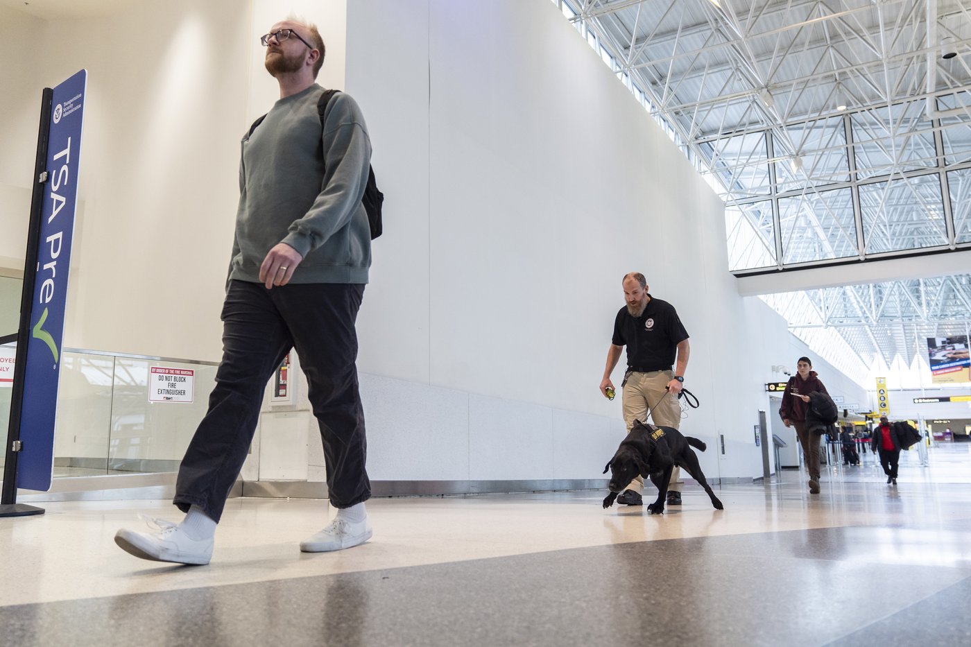 Argo the dog, a TSA calendar star, protects air travelers by sniffing out explosives | iNFOnews.ca