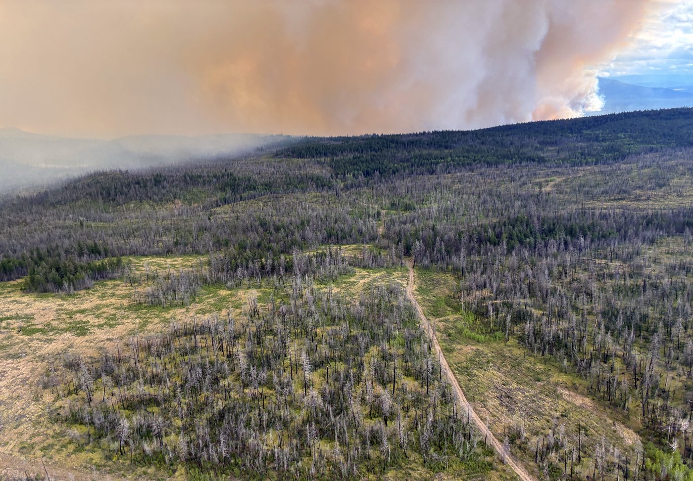 Pilot injured after helicopter crash during wildfire fight in B.C. | iNFOnews.ca Pilot injured after helicopter crash during wildfire fight in B.C. | iNFOnews.ca