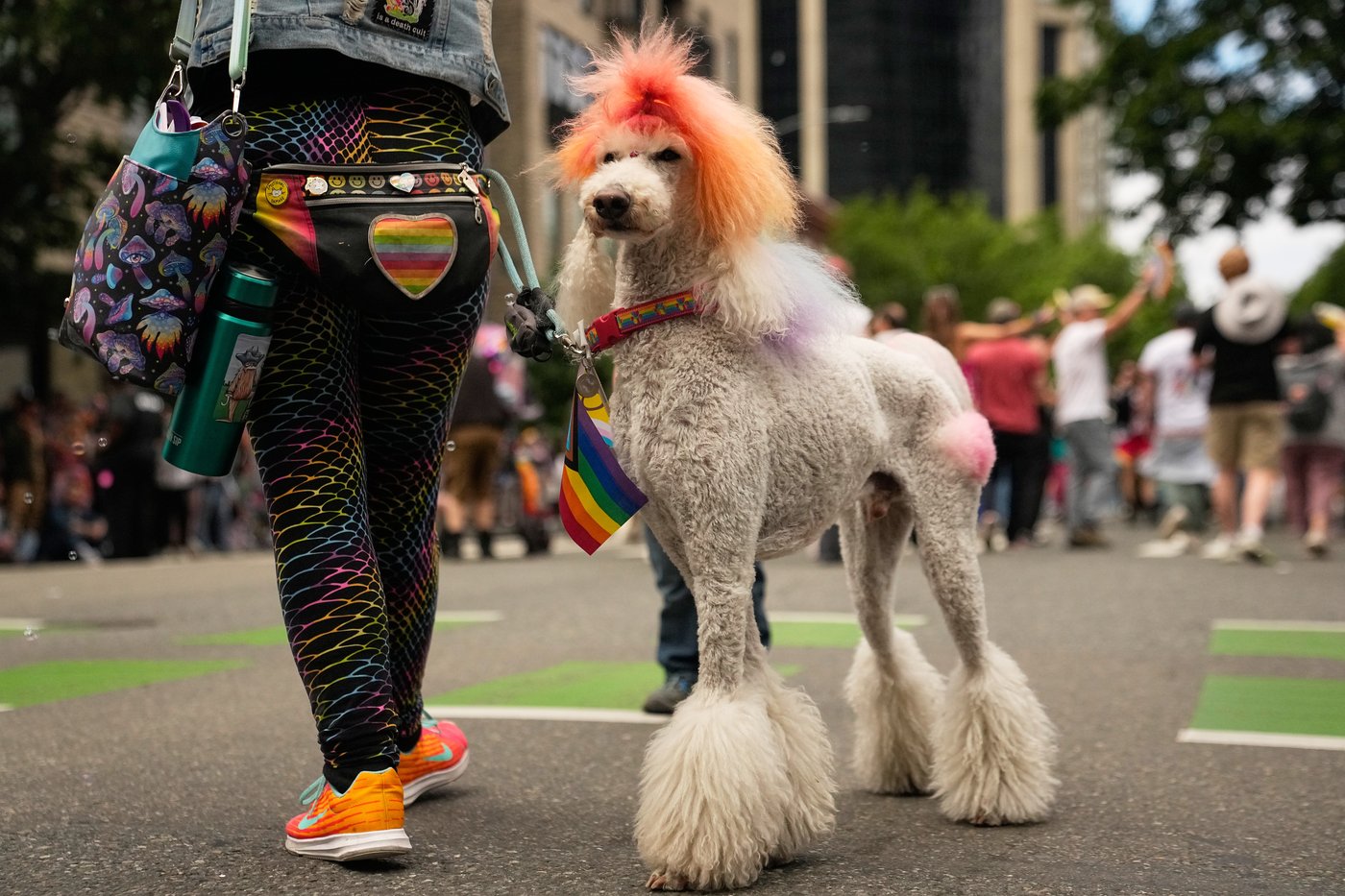 Photos show Pride around the world: Monthlong celebration ends with iconic US parades | iNFOnews.ca