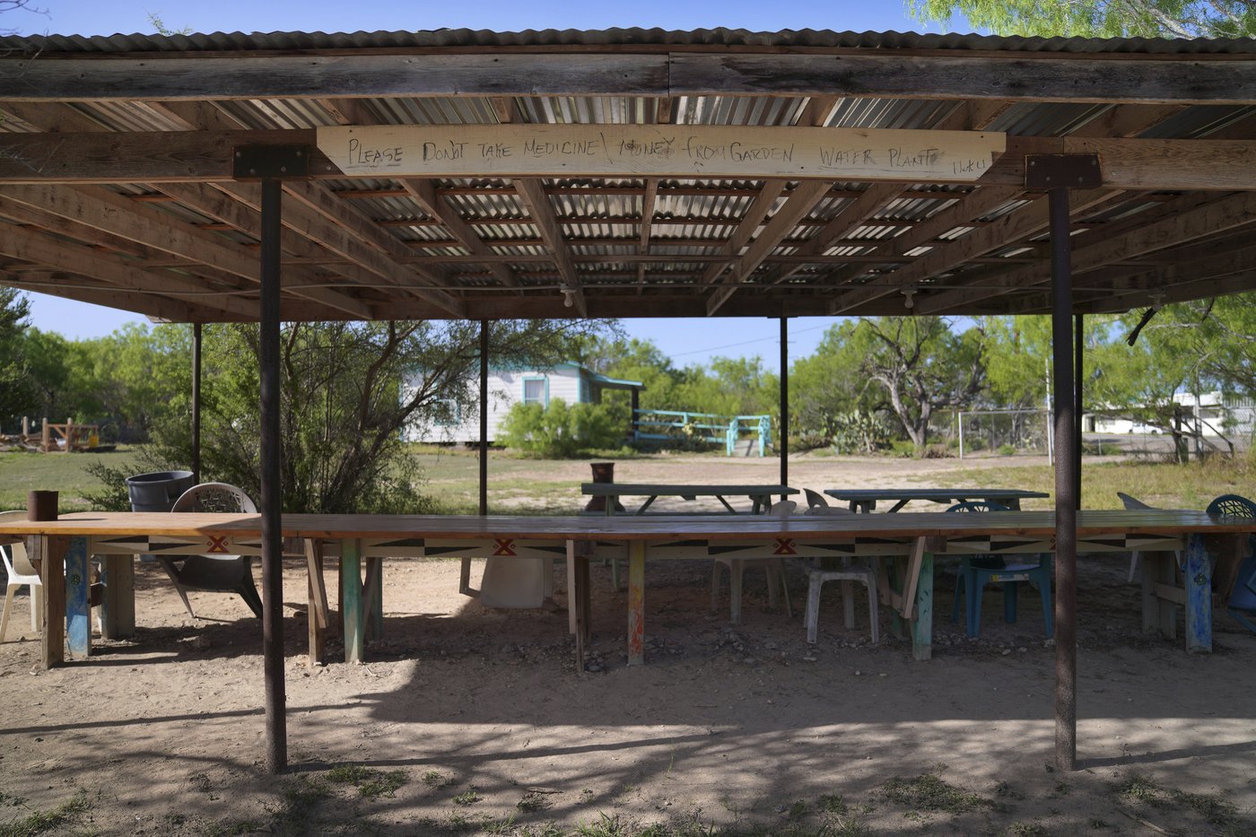 Why this Mexican American woman played a vital role in the US sacramental peyote trade | iNFOnews.ca Why this Mexican American woman played a vital role in the US sacramental peyote trade | iNFOnews.ca