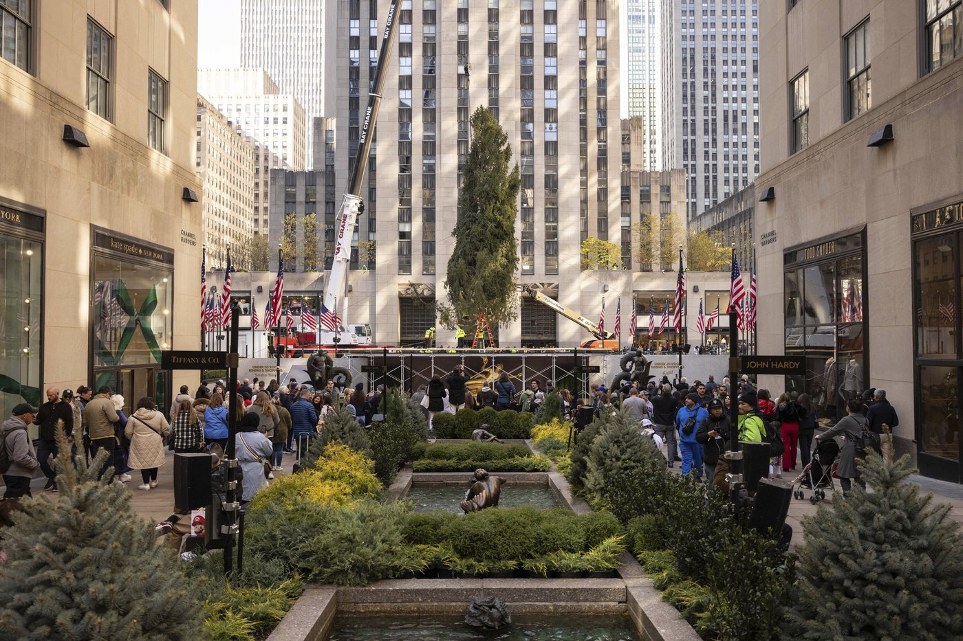 Haul out the holly! Rockefeller Center Christmas Tree arrives in New York City | iNFOnews.ca