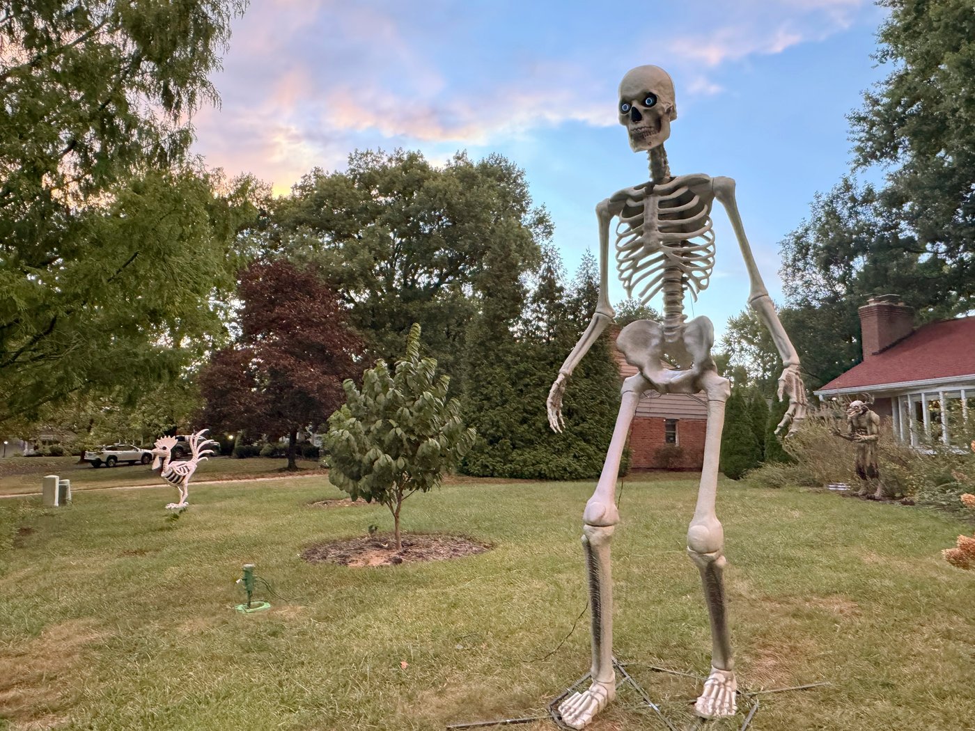 Make no bones about it, the giant skeleton has become an American Halloween fixture | iNFOnews.ca