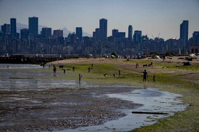 Metro Vancouver to ban car washing and lawn watering next week under Stage 3 rules | iNFOnews.ca