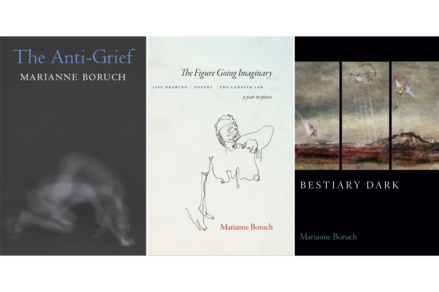 Marianne Boruch wins $100,000 Jackson Poetry Prize as judges hail human genius in AI age | iNFOnews.ca