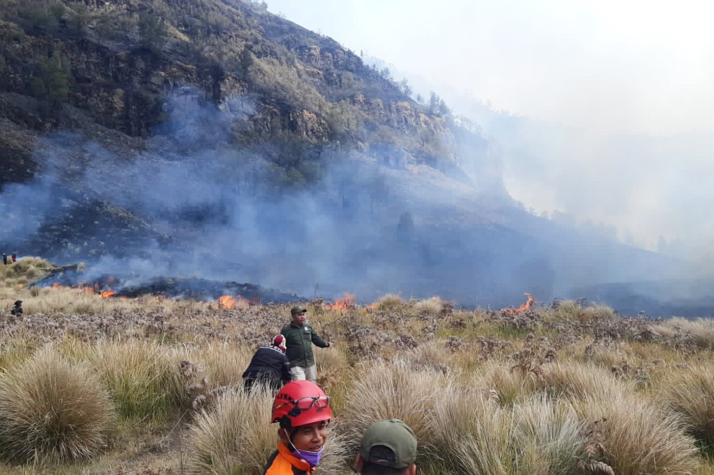 Fire burns 60 hectares in Indonesia’s Mount Bromo National Park | iNFOnews.ca Fire burns 60 hectares in Indonesia’s Mount Bromo National Park | iNFOnews.ca