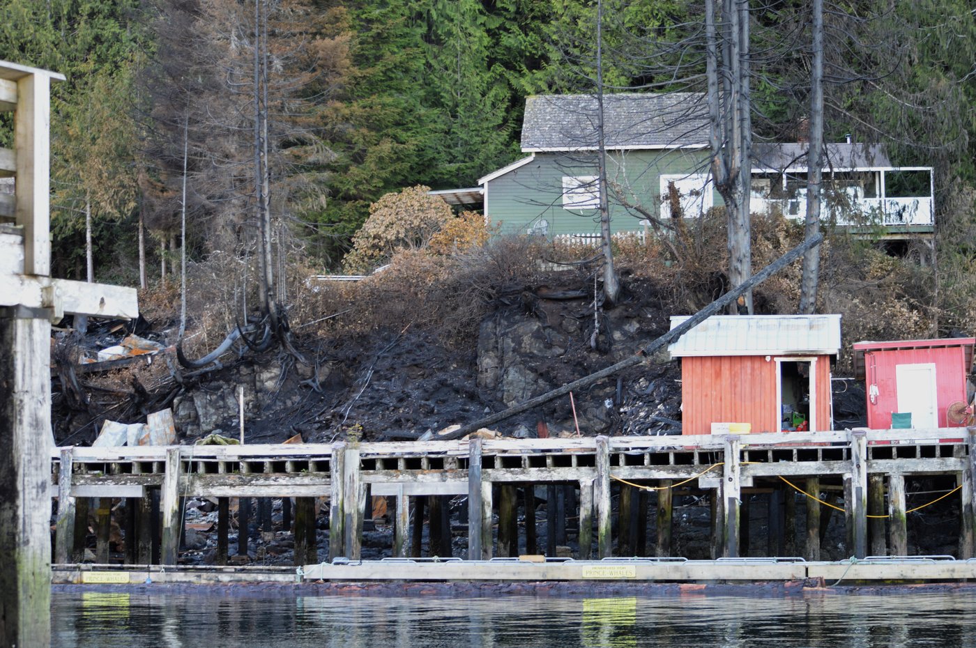 Northern lights inspire recovery in Telegraph Cove, B.C., year after devastating fire | iNFOnews.ca Northern lights inspire recovery in Telegraph Cove, B.C., year after devastating fire | iNFOnews.ca
