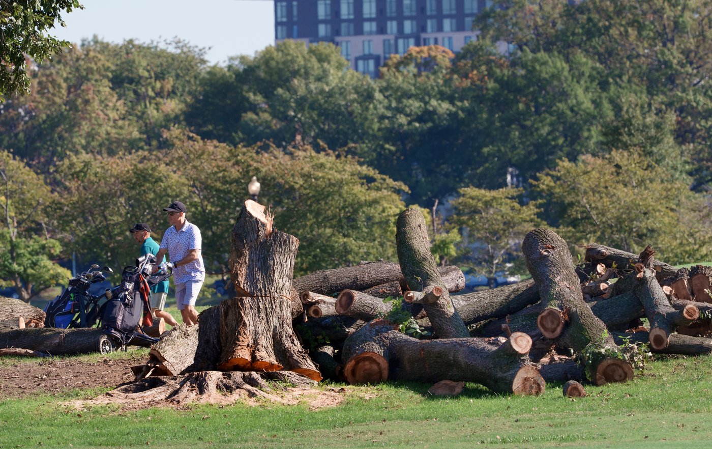Trump says he will close historic DC golf course for 15 months of renovations | iNFOnews.ca Trump says he will close historic DC golf course for 15 months of renovations | iNFOnews.ca