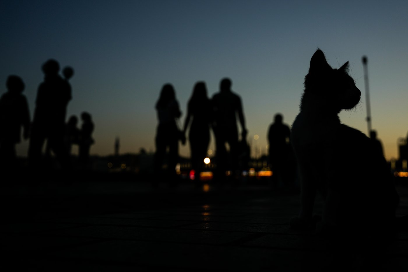 The top photos of the day by AP's photojournalists | iNFOnews.ca