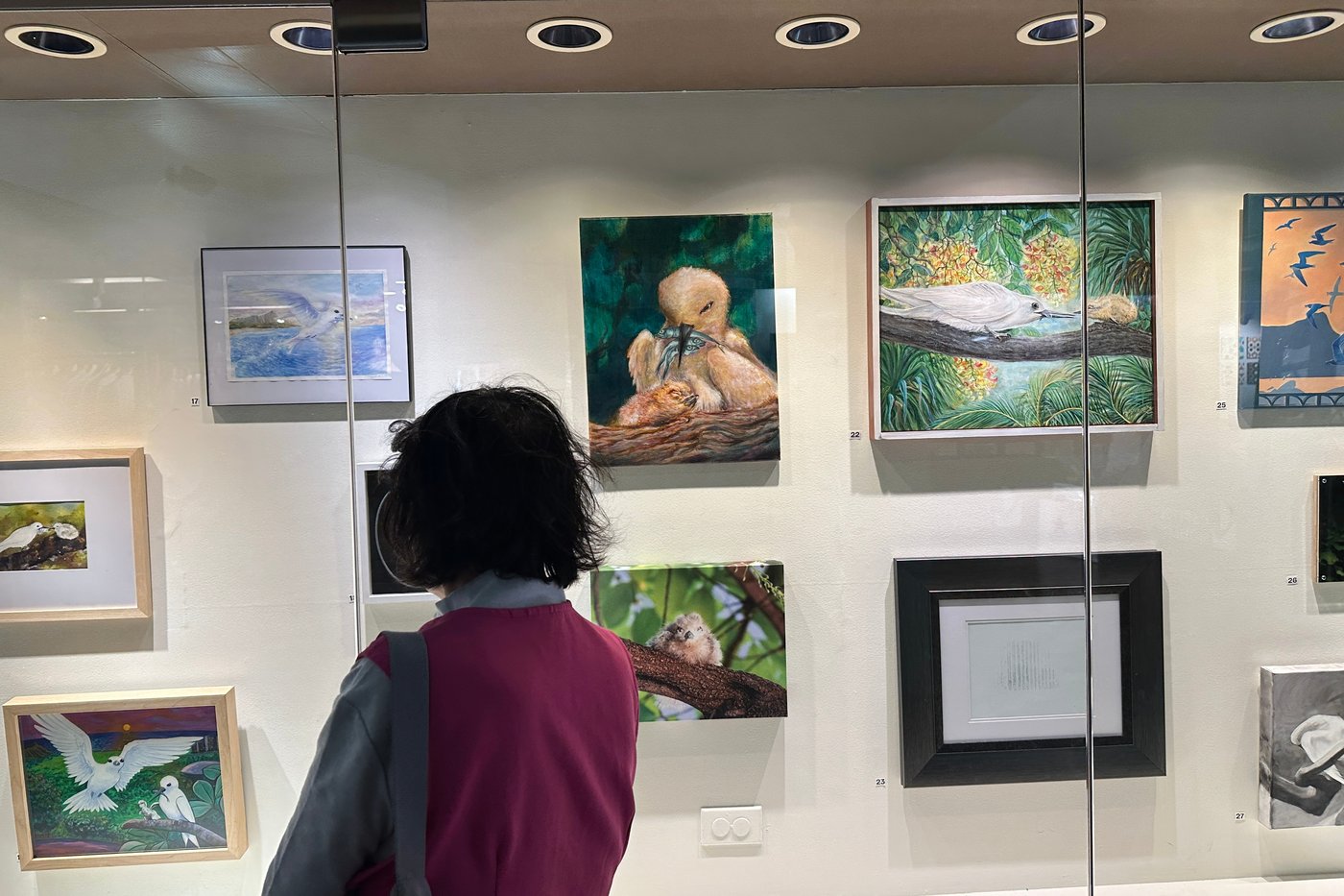 How a seabird native to Hawaii has adapted to life in Honolulu's concrete jungle | iNFOnews.ca How a seabird native to Hawaii has adapted to life in Honolulu's concrete jungle | iNFOnews.ca