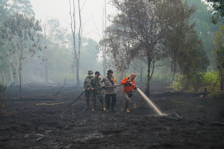 This year's El Nino-driven heat could cause nearly half a million more deaths, group says | iNFOnews.ca
