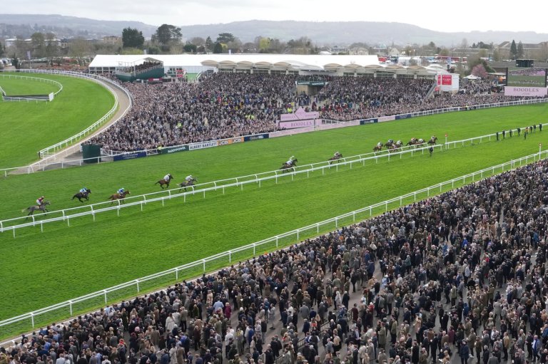 4 horses die at Cheltenham Festival as charity urges better safety and welfare measures | iNFOnews.ca