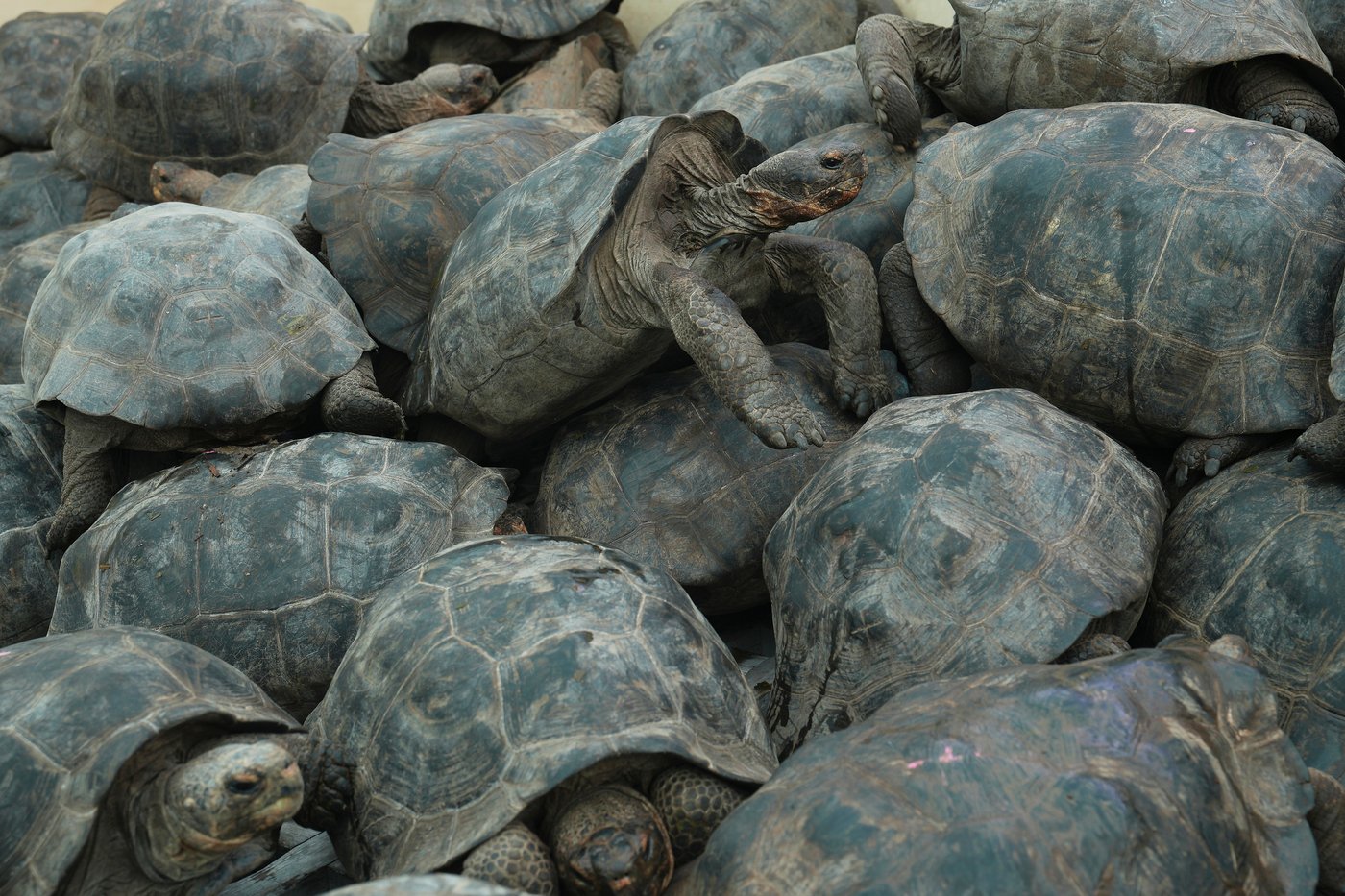 The top photos of the week by AP photojournalists | iNFOnews.ca