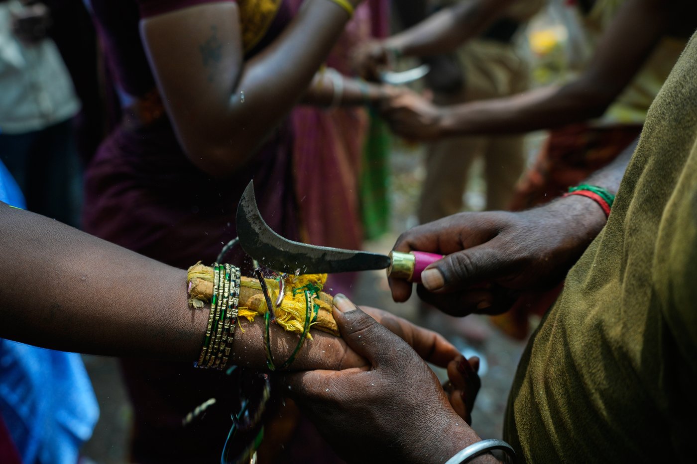 PHOTO ESSAY: A symbolic marriage ritual and beauty pageant brings India’s trans community together | iNFOnews.ca