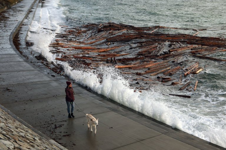 High winds reaching up to 90km/h slated for Metro Vancouver, B.C.'s south coast | iNFOnews.ca