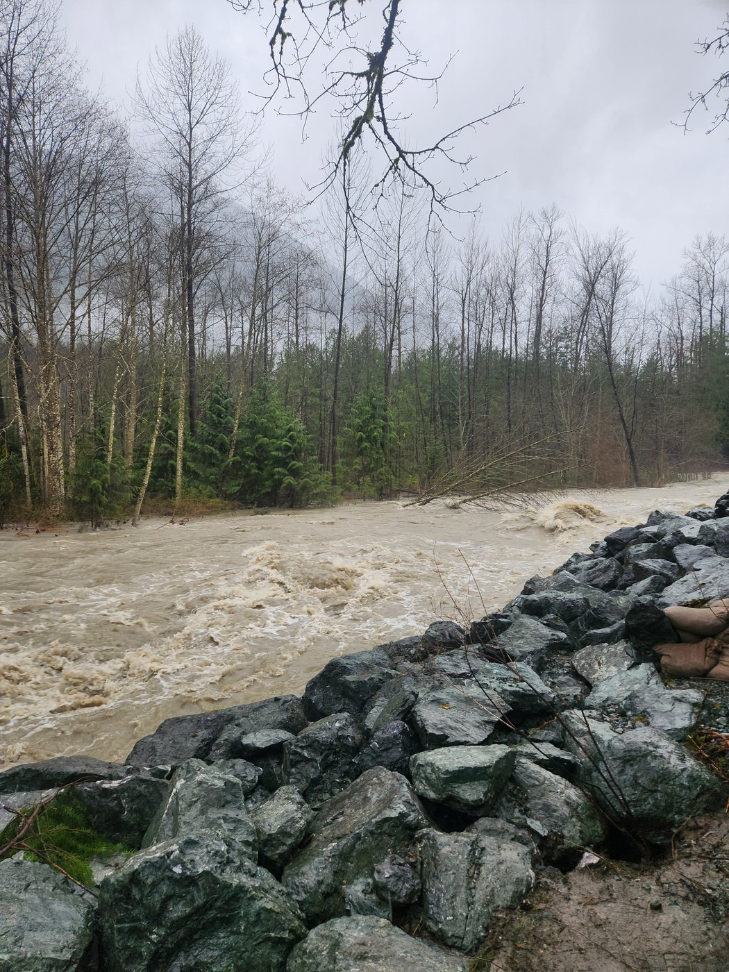 Residents in B.C.'s Fraser Valley 'more hopeful' of escaping flooding after rains | iNFOnews.ca Residents in B.C.'s Fraser Valley 'more hopeful' of escaping flooding after rains | iNFOnews.ca