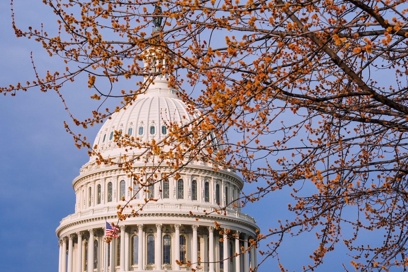 Senate passes bipartisan housing bill to improve access and affordability | iNFOnews.ca Senate passes bipartisan housing bill to improve access and affordability | iNFOnews.ca