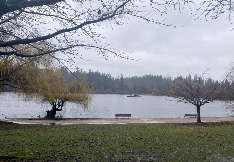 Stanley Park's stagnant Lost Lagoon closer to being reconnected to ocean | iNFOnews.ca