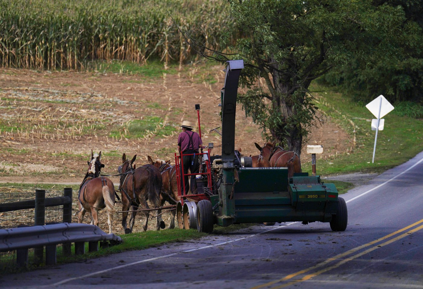 As a historic measles outbreak hits Pennsylvania Amish country, more show openness to vaccines | iNFOnews.ca As a historic measles outbreak hits Pennsylvania Amish country, more show openness to vaccines | iNFOnews.ca